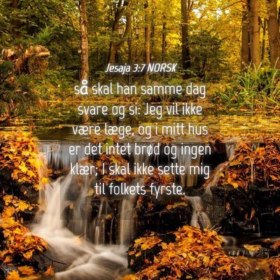 Picture 04 - Jesaja 3:7 NORSK - så skal han samme dag svare og si: Jeg vil ikke - Bible Verse Picture