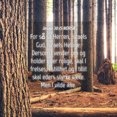 Picture 04 - Jesaja 30:15 NORSK - For så sa Herren, Israels Gud, Israels Hellige: - Bible Verse Picture