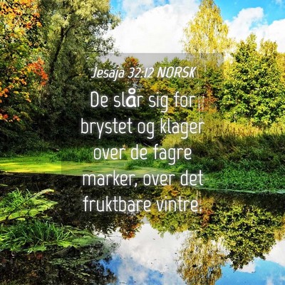 Picture 04 - Jesaja 32:12 NORSK - De slår sig for brystet og klager over de fagre - Bible Verse Picture