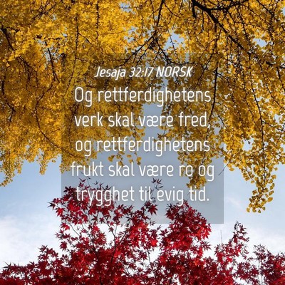 Picture 04 - Jesaja 32:17 NORSK - Og rettferdighetens verk skal være fred, og - Bible Verse Picture