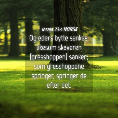 Picture 04 - Jesaja 33:4 NORSK - Og eders bytte sankes, likesom skaveren - Bible Verse Picture