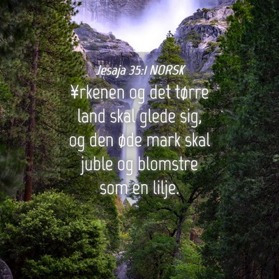 Picture 04 - Jesaja 35:1 NORSK - ¥rkenen og det tørre land skal glede sig, og - Bible Verse Picture