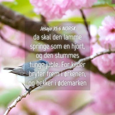 Picture 04 - Jesaja 35:6 NORSK - da skal den lamme springe som en hjort, og den - Bible Verse Picture