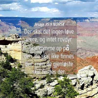 Picture 04 - Jesaja 35:9 NORSK - Der skal det ingen løve være, og intet rovdyr - Bible Verse Picture