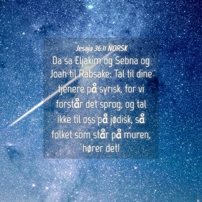 Picture 04 - Jesaja 36:11 NORSK - Da sa Eljakim og Sebna og Joah til Rabsake: Tal - Bible Verse Picture