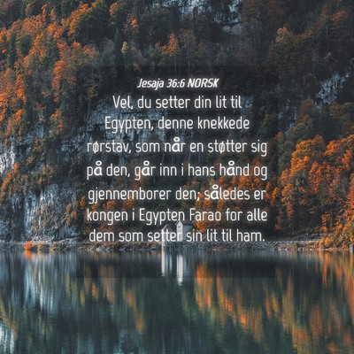 Picture 04 - Jesaja 36:6 NORSK - Vel, du setter din lit til Egypten, denne - Bible Verse Picture