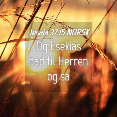 Picture 04 - Jesaja 37:15 NORSK - Og Esekias bad til Herren og - Bible Verse Picture