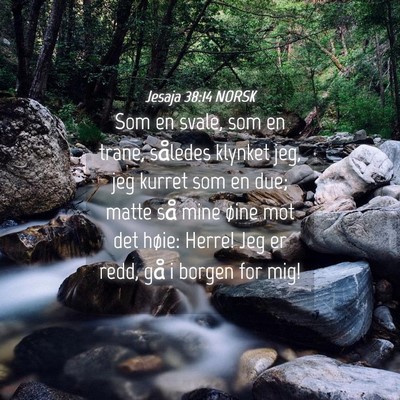 Picture 04 - Jesaja 38:14 NORSK - Som en svale, som en trane, således klynket jeg, - Bible Verse Picture