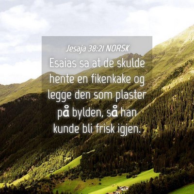 Picture 04 - Jesaja 38:21 NORSK - Esaias sa at de skulde hente en fikenkake og - Bible Verse Picture