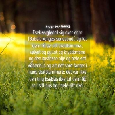 Picture 04 - Jesaja 39:2 NORSK - Esekias gledet sig over dem {Babels konges - Bible Verse Picture