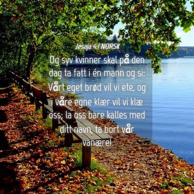 Picture 04 - Jesaja 4:1 NORSK - Og syv kvinner skal på den dag ta fatt i én - Bible Verse Picture