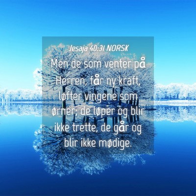 Picture 04 - Jesaja 40:31 NORSK - Men de som venter på Herren, får ny kraft, - Bible Verse Picture