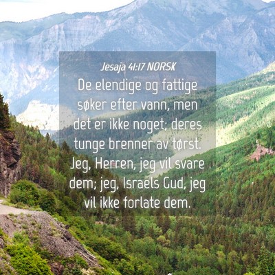 Picture 04 - Jesaja 41:17 NORSK - De elendige og fattige søker efter vann, men det - Bible Verse Picture