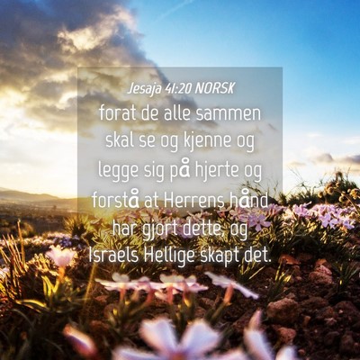 Picture 04 - Jesaja 41:20 NORSK - forat de alle sammen skal se og kjenne og legge - Bible Verse Picture