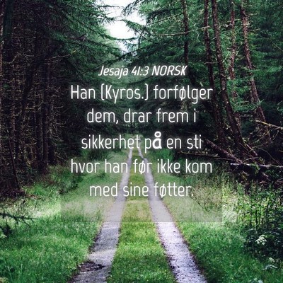 Picture 04 - Jesaja 41:3 NORSK - Han {Kyros.} forfølger dem, drar frem i - Bible Verse Picture