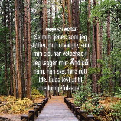 Picture 04 - Jesaja 42:1 NORSK - Se min tjener, som jeg støtter, min utvalgte, - Bible Verse Picture