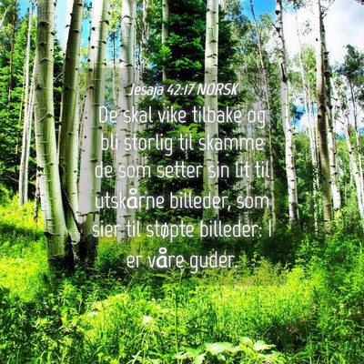 Picture 04 - Jesaja 42:17 NORSK - De skal vike tilbake og bli storlig til skamme de - Bible Verse Picture