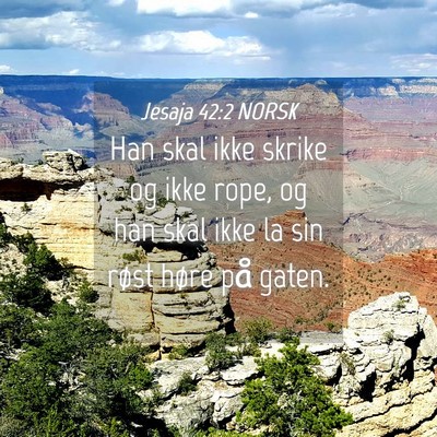 Picture 04 - Jesaja 42:2 NORSK - Han skal ikke skrike og ikke rope, og han skal - Bible Verse Picture