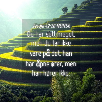 Picture 04 - Jesaja 42:20 NORSK - Du har sett meget, men du tar ikke vare på det, - Bible Verse Picture
