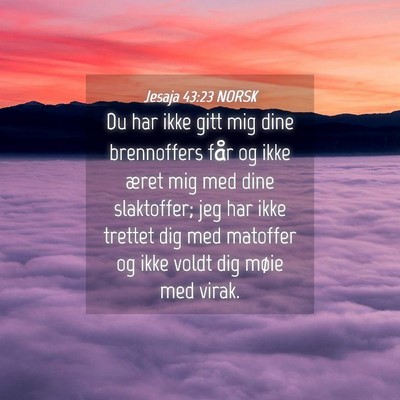 Picture 04 - Jesaja 43:23 NORSK - Du har ikke gitt mig dine brennoffers får og - Bible Verse Picture