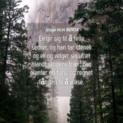 Picture 04 - Jesaja 44:14 NORSK - En gir sig til å felle sedrer, og han tar stenek - Bible Verse Picture