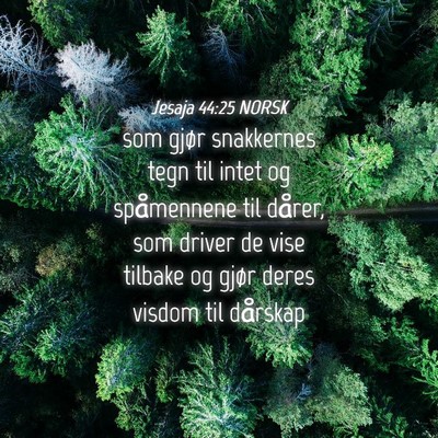 Picture 04 - Jesaja 44:25 NORSK - som gjør snakkernes tegn til intet og - Bible Verse Picture