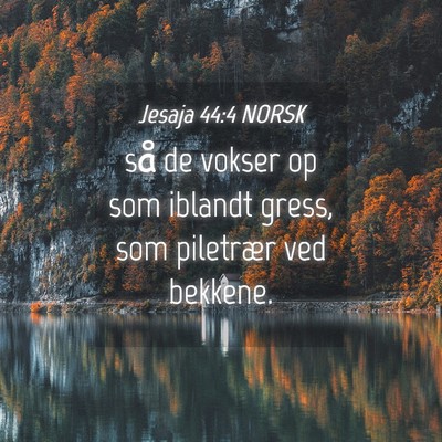 Picture 04 - Jesaja 44:4 NORSK - så de vokser op som iblandt gress, som piletrær - Bible Verse Picture