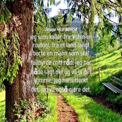 Picture 04 - Jesaja 46:11 NORSK - jeg som kaller fra ¥sten en rovfugl, fra et land - Bible Verse Picture