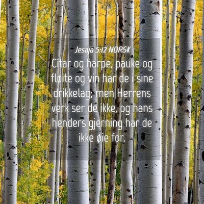 Picture 04 - Jesaja 5:12 NORSK - Citar og harpe, pauke og fløite og vin har de i - Bible Verse Picture