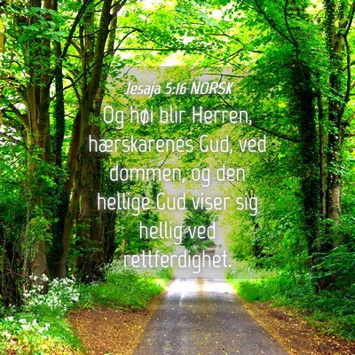 Picture 04 - Jesaja 5:16 NORSK - Og høi blir Herren, hærskarenes Gud, ved - Bible Verse Picture