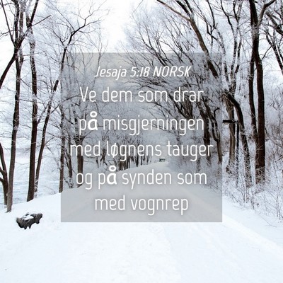 Picture 04 - Jesaja 5:18 NORSK - Ve dem som drar på misgjerningen med løgnens - Bible Verse Picture