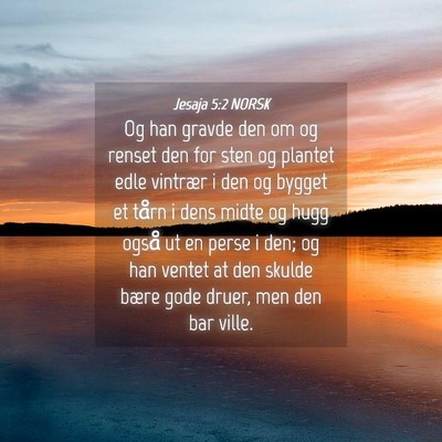 Picture 04 - Jesaja 5:2 NORSK - Og han gravde den om og renset den for sten og - Bible Verse Picture