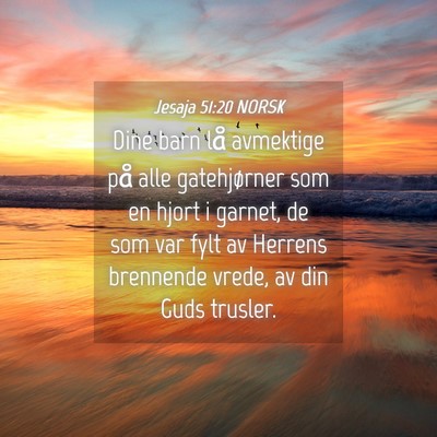 Picture 04 - Jesaja 51:20 NORSK - Dine barn lå avmektige på alle gatehjørner som - Bible Verse Picture