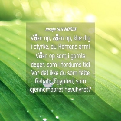 Picture 04 - Jesaja 51:9 NORSK - Våkn op, våkn op, klæ dig i styrke, du Herrens - Bible Verse Picture