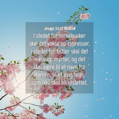 Picture 04 - Jesaja 55:13 NORSK - I stedet for tornebusker skal det vokse op - Bible Verse Picture