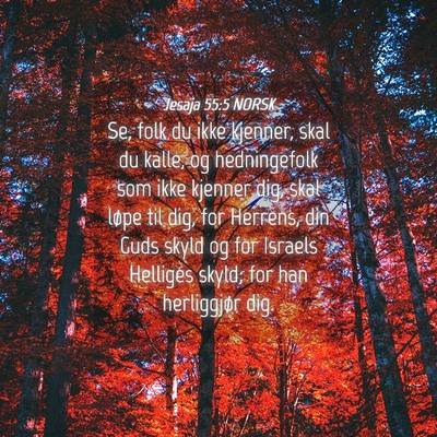 Picture 04 - Jesaja 55:5 NORSK - Se, folk du ikke kjenner, skal du kalle, og - Bible Verse Picture