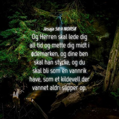 Picture 04 - Jesaja 58:11 NORSK - Og Herren skal lede dig all tid og mette dig midt - Bible Verse Picture