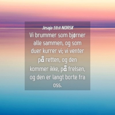 Picture 04 - Jesaja 59:11 NORSK - Vi brummer som bjørner alle sammen, og som duer - Bible Verse Picture