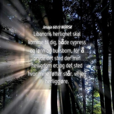 Picture 04 - Jesaja 60:13 NORSK - Libanons herlighet skal komme til dig, både - Bible Verse Picture