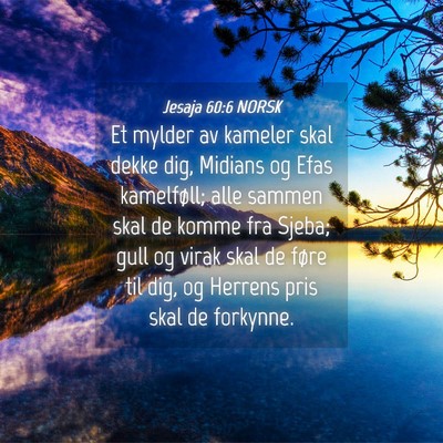 Picture 04 - Jesaja 60:6 NORSK - Et mylder av kameler skal dekke dig, Midians og - Bible Verse Picture
