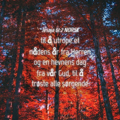 Picture 04 - Jesaja 61:2 NORSK - til å utrope et nådens år fra Herren og en - Bible Verse Picture
