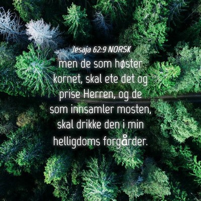 Picture 04 - Jesaja 62:9 NORSK - men de som høster kornet, skal ete det og prise - Bible Verse Picture