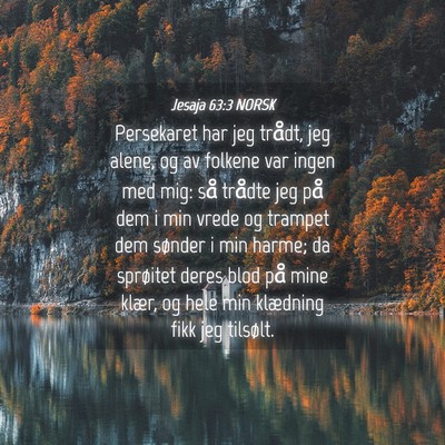 Picture 04 - Jesaja 63:3 NORSK - Persekaret har jeg trådt, jeg alene, og av - Bible Verse Picture