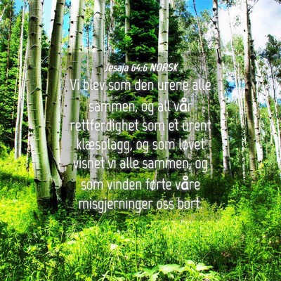 Picture 04 - Jesaja 64:6 NORSK - Vi blev som den urene alle sammen, og all vår - Bible Verse Picture