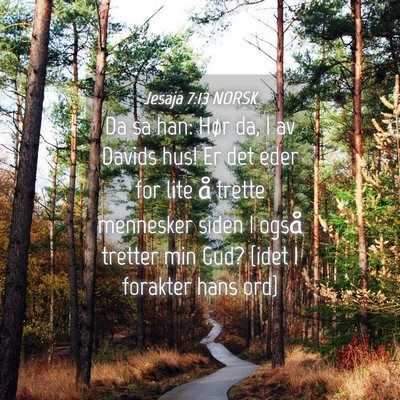 Picture 04 - Jesaja 7:13 NORSK - Da sa han: Hør da, I av Davids hus! Er det eder - Bible Verse Picture