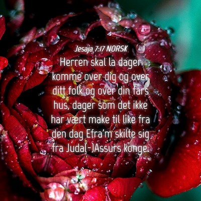 Picture 04 - Jesaja 7:17 NORSK - Herren skal la dager komme over dig og over ditt - Bible Verse Picture