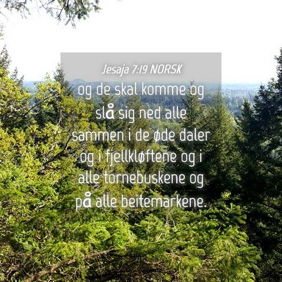 Picture 04 - Jesaja 7:19 NORSK - og de skal komme og slå sig ned alle sammen i de - Bible Verse Picture