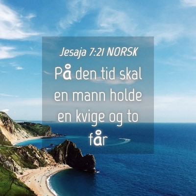 Picture 04 - Jesaja 7:21 NORSK - På den tid skal en mann holde en kvige og to - Bible Verse Picture
