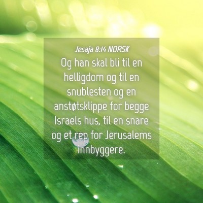 Picture 04 - Jesaja 8:14 NORSK - Og han skal bli til en helligdom og til en - Bible Verse Picture