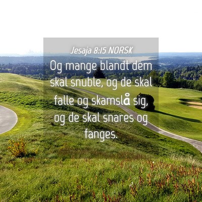 Picture 04 - Jesaja 8:15 NORSK - Og mange blandt dem skal snuble, og de skal falle - Bible Verse Picture
